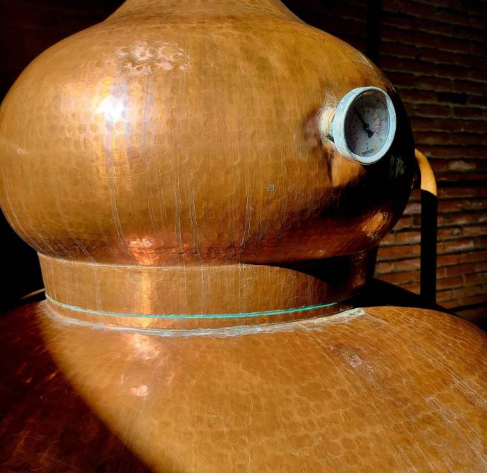 WhatsApp Image 2025-06-18 at 16.55.49